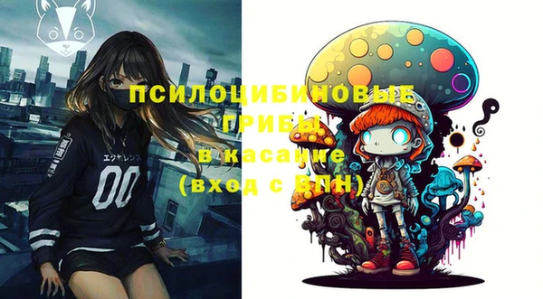 круглые Карпинск