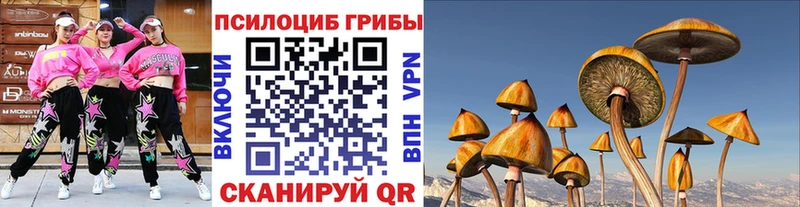 Псилоцибиновые грибы прущие грибы  наркота  ссылка на мегу зеркало  Псков 
